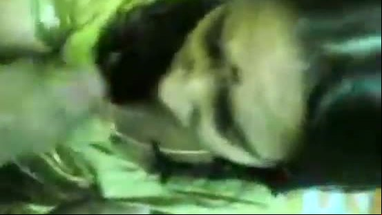 Indian green saree wife giving blowjob to his bf