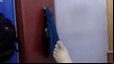 Indian muslim cumshot sexy jerk off 2
